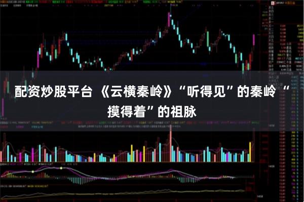 配资炒股平台 《云横秦岭》“听得见”的秦岭 “摸得着”的祖脉