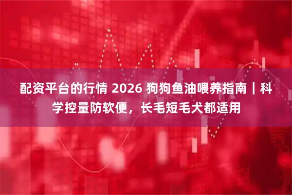 配资平台的行情 2026 狗狗鱼油喂养指南｜科学控量防软便，长毛短毛犬都适用