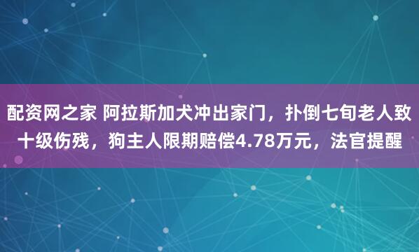 配资网之家 阿拉斯加犬冲出家门，扑倒七旬老人致十级伤残，狗主人限期赔偿4.78万元，法官提醒